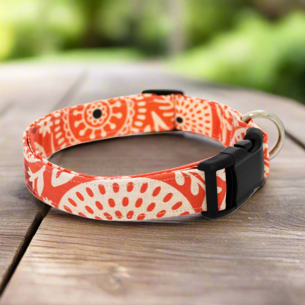 Coral Floral