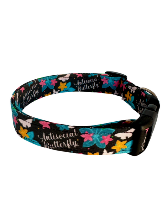 Antisocial Butterfly