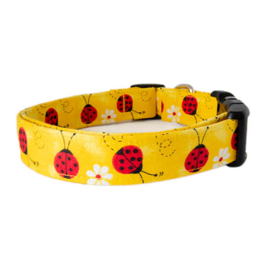 Ladybug Luxe